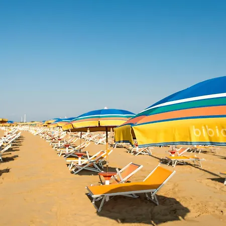Newton Bibione